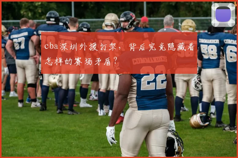 cba深圳外援打架，背后究竟隐藏着怎样的赛场矛盾？