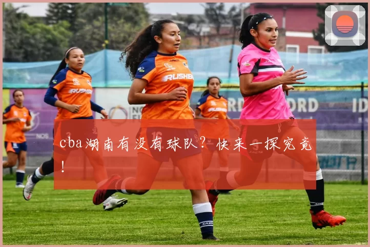 cba湖南有没有球队？快来一探究竟！