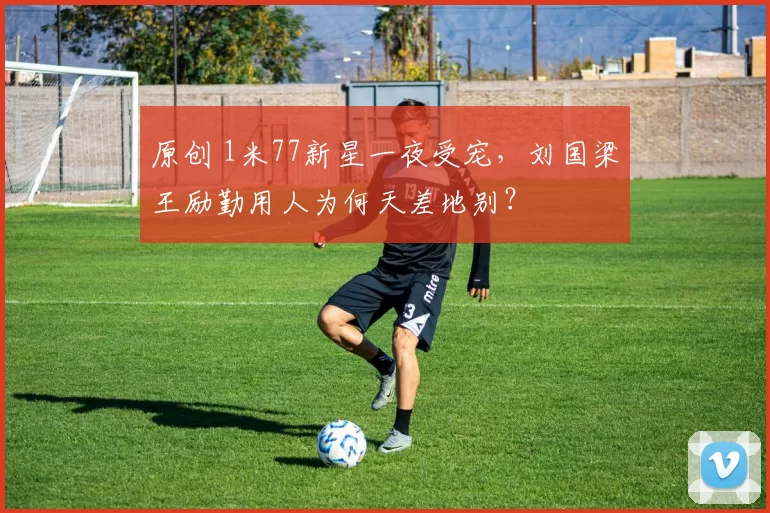 原创 1米77新星一夜受宠,刘国梁王励勤用人为何天差地别?