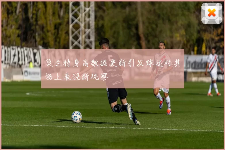 莫兰特身高数据更新引发球迷对其场上表现新观察