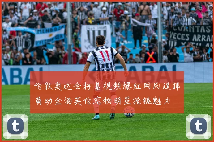 伦敦奥运会柯基视频爆红网民追捧萌动全场英伦宠物明星抢镜魅力