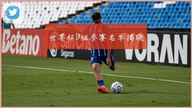 世界杯D组参赛名单揭晓