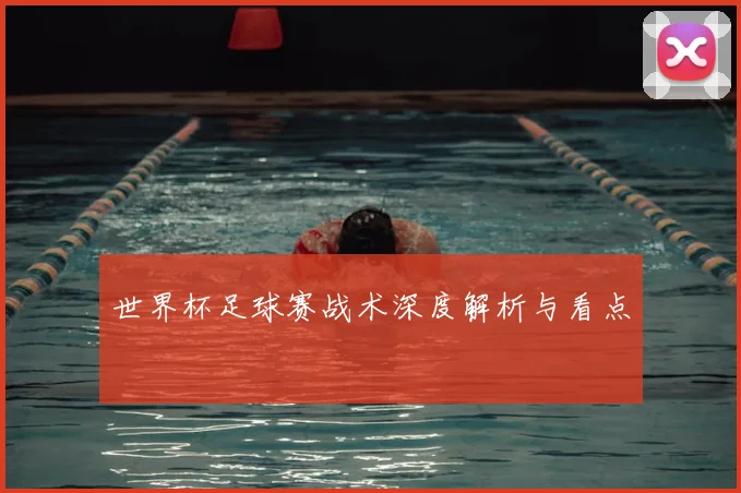 世界杯足球赛战术深度解析与看点
