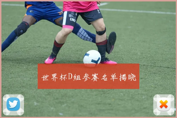 世界杯D组参赛名单揭晓